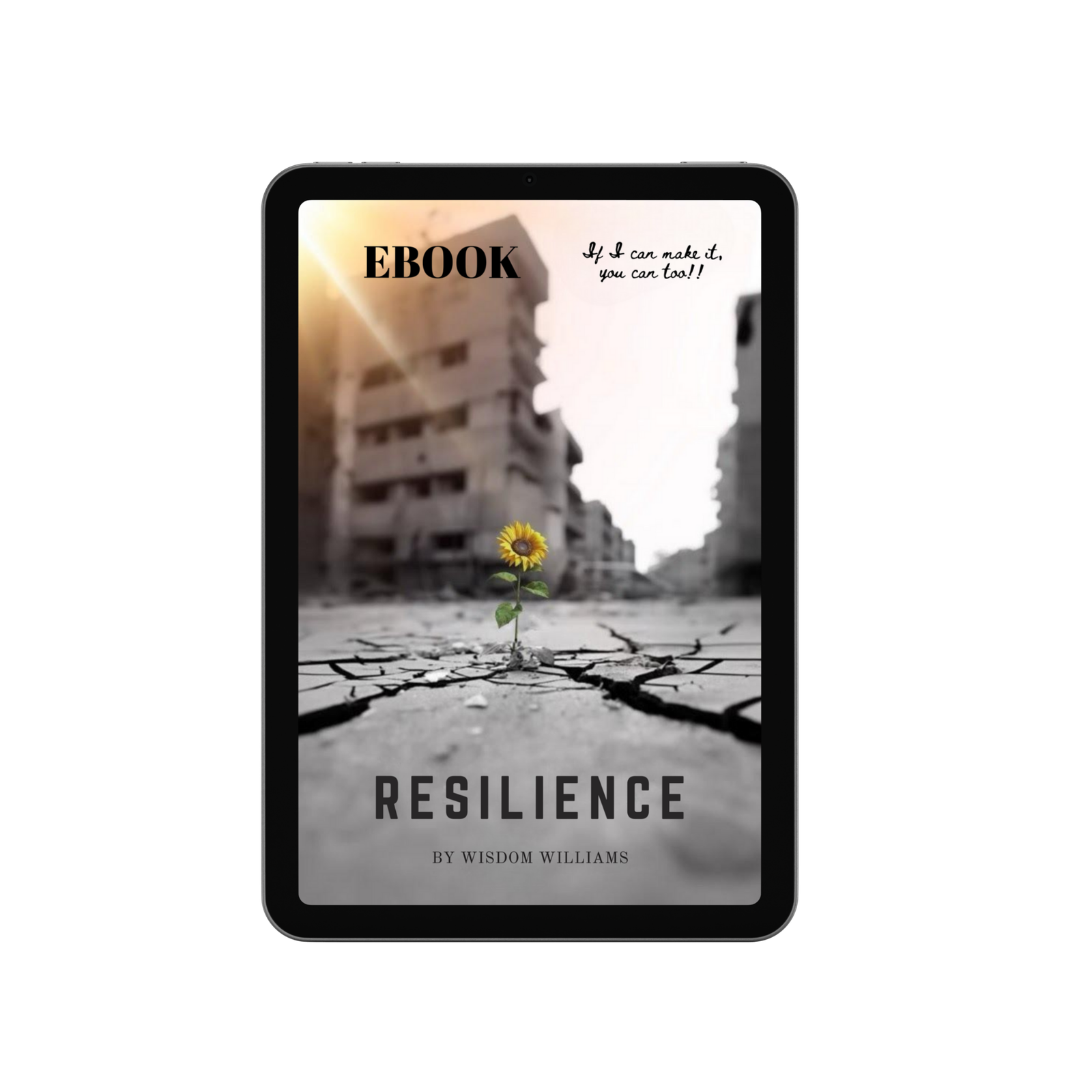 RESILIENCE (Ebook)
