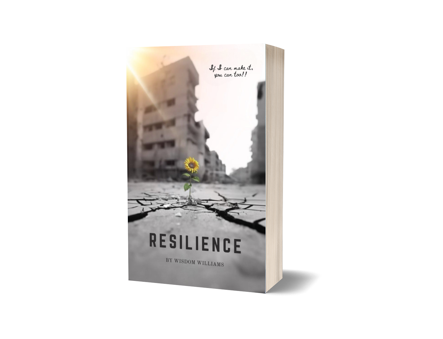 RESILIENCE (Hardback)